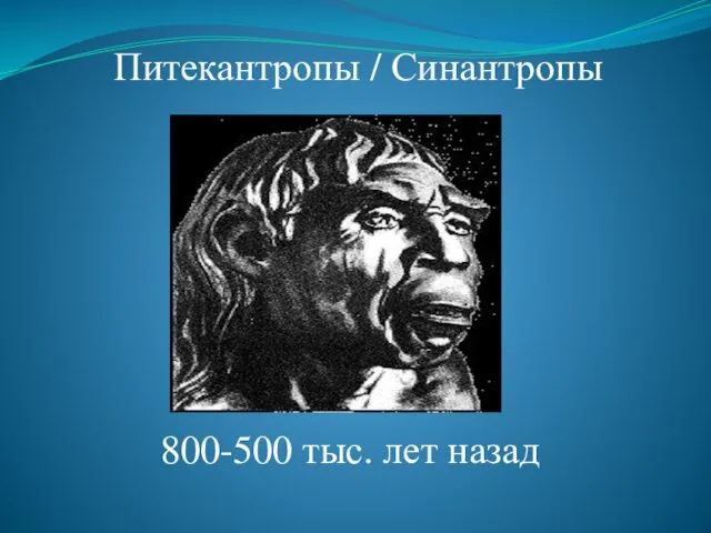 Питекантропы / Синантропы 800-500 тыс. лет назад