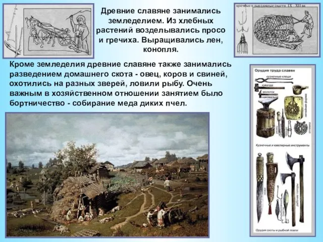 Древние славяне занимались земледелием. Из хлебных растений возделывались просо и гречиха. Выращивались