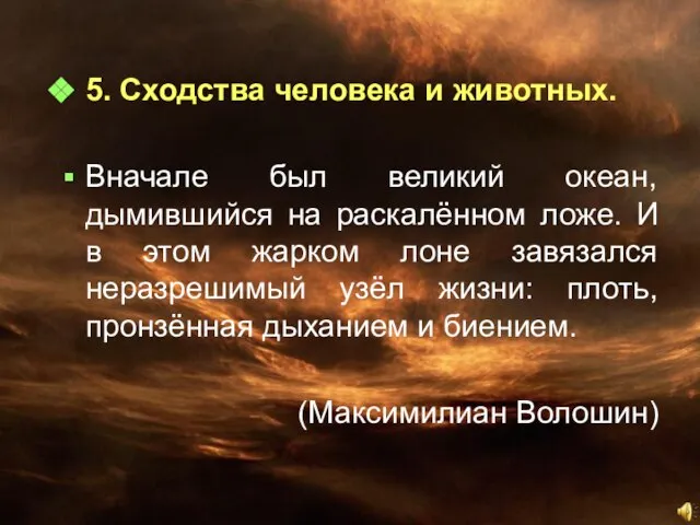 5. Сходства человека и животных. Вначале был великий океан, дымившийся на раскалённом