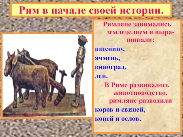 Рим в начале своей истории. Римляне занимались земледелием и выра-щивали: пшеницу, ячмень,