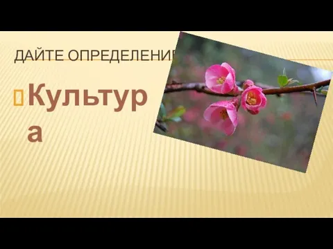 Дайте определение Культура