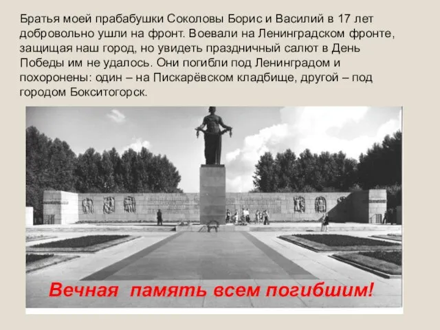 Братья моей прабабушки Соколовы Борис и Василий в 17 лет добровольно ушли