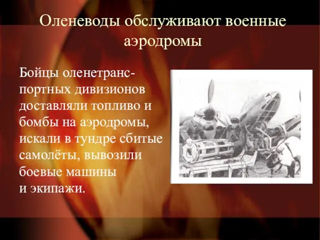 Оленеводы обслуживают военные аэродромы Бойцы оленетранс- портных дивизионов доставляли топливо и бомбы