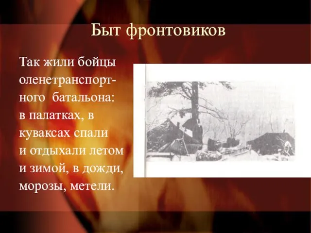 Быт фронтовиков Так жили бойцы оленетранспорт- ного батальона: в палатках, в куваксах