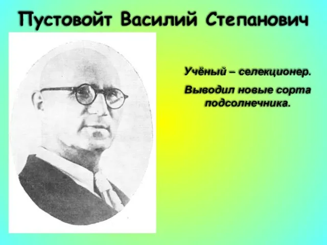 Пустовойт Василий Степанович Учёный – селекционер. Выводил новые сорта подсолнечника.