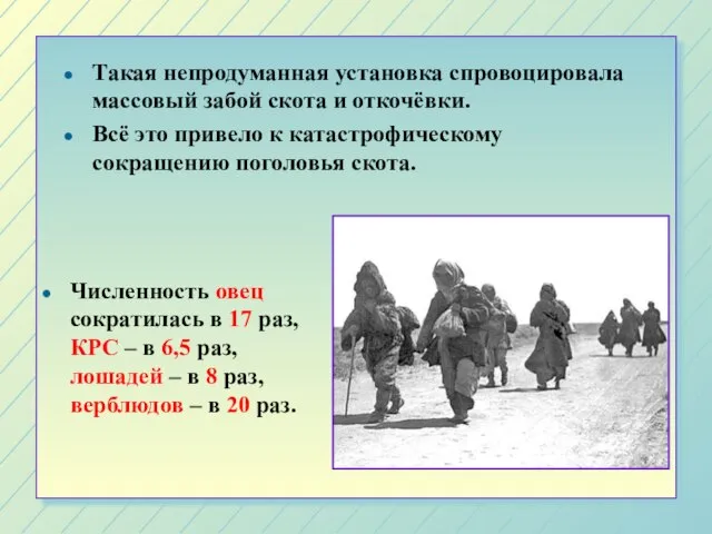 Численность овец сократилась в 17 раз, КРС – в 6,5 раз, лошадей