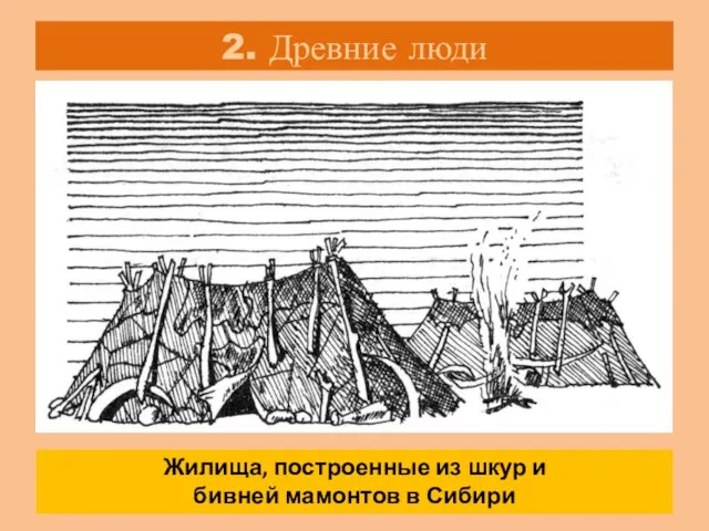 2. Древние люди «Мамонты на Русской равнине в Сибири» Стр. 11 Какую