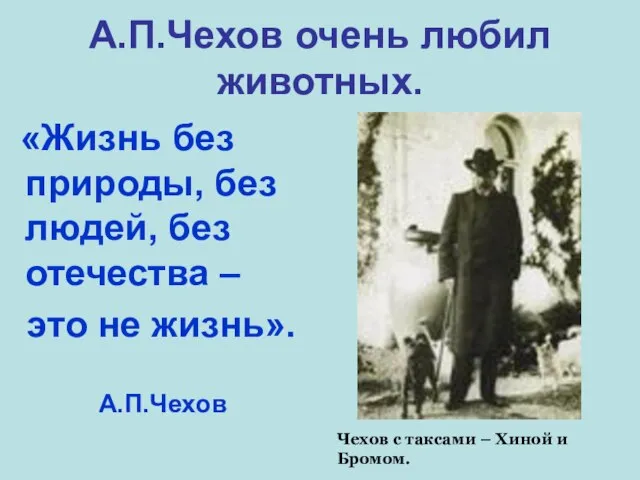 А.П.Чехов очень любил животных. «Жизнь без природы, без людей, без отечества –