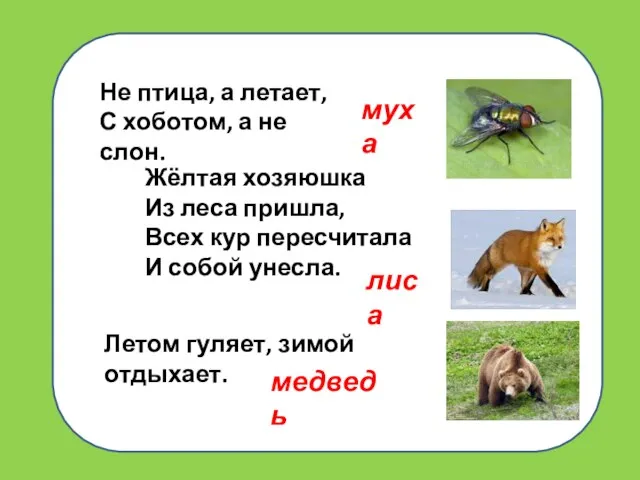 Не птица, а летает, С хоботом, а не слон. Жёлтая хозяюшка Из