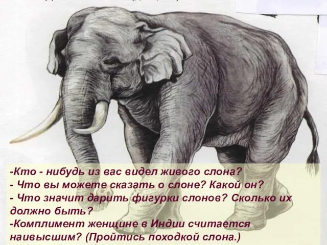 -Кто - нибудь из вас видел живого слона? - Что вы можете