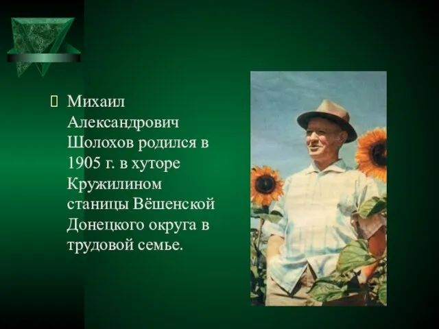 Михаил Александрович Шолохов родился в 1905 г. в хуторе Кружилином станицы Вёшенской