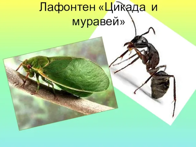Лафонтен «Цикада и муравей»