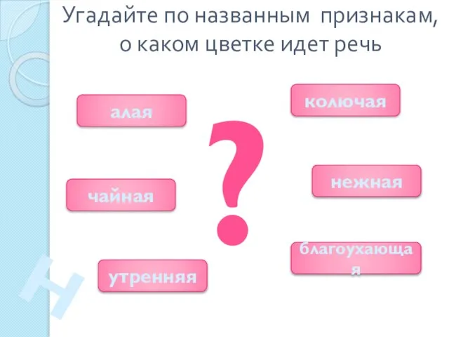 Угадайте по названным признакам, о каком цветке идет речь ? алая благоухающая