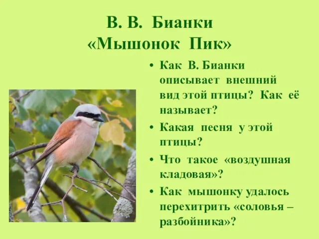 В. В. Бианки «Мышонок Пик» Как В. Бианки описывает внешний вид этой