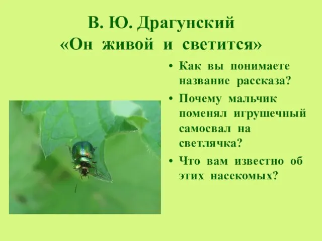 В. Ю. Драгунский «Он живой и светится» Как вы понимаете название рассказа?