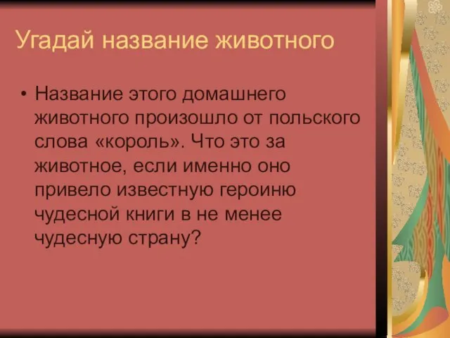 Угадай название животного Название этого домашнего животного произошло от польского слова «король».