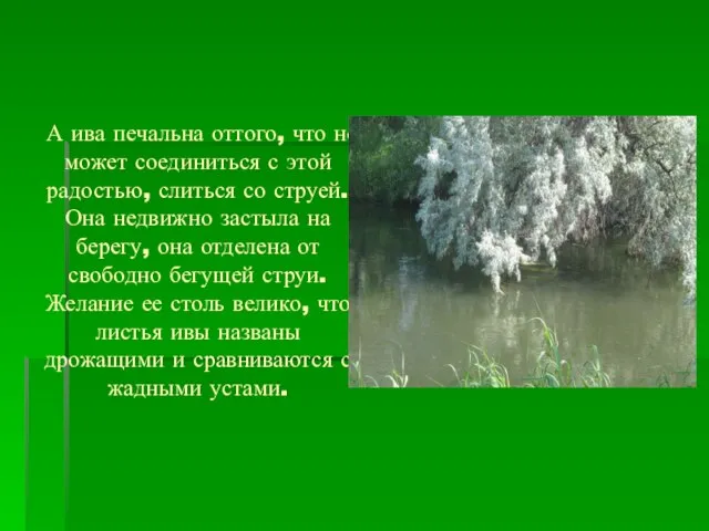 А ива печальна оттого, что не может соединиться с этой радостью, слиться