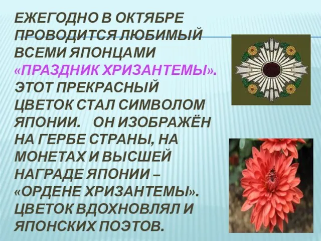 Ежегодно в октябре проводится любимый всеми японцами «праздник хризантемы». Этот прекрасный цветок