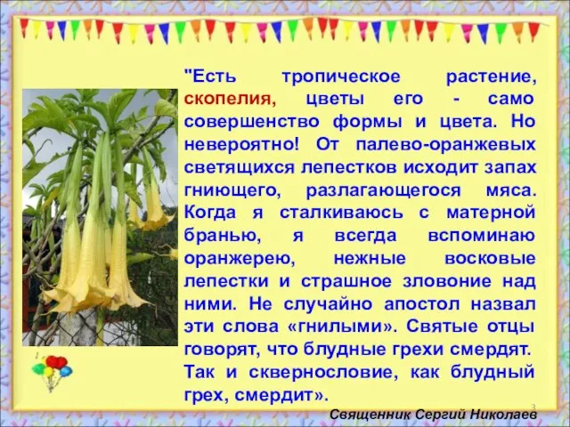 "Есть тропическое растение, скопелия, цветы его - само совершенство формы и цвета.