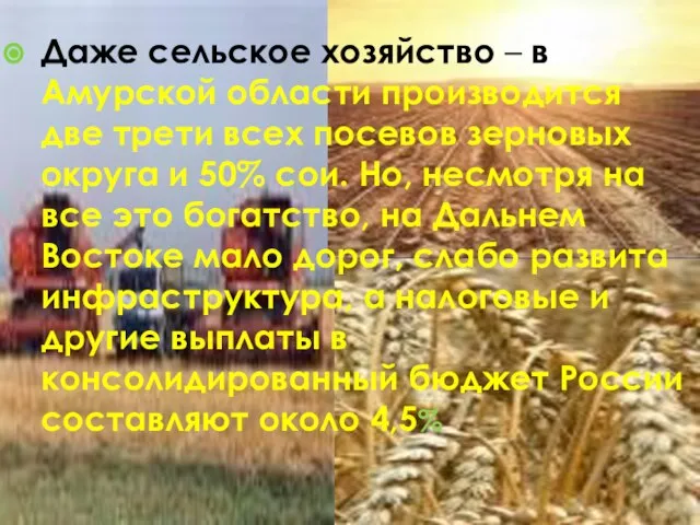 Даже сельское хозяйство – в Амурской области производится две трети всех посевов