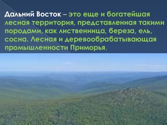 Дальний Восток – это еще и богатейшая лесная территория, представленная такими породами,