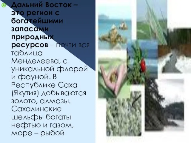 Дальний Восток – это регион с богатейшими запасами природных ресурсов – почти