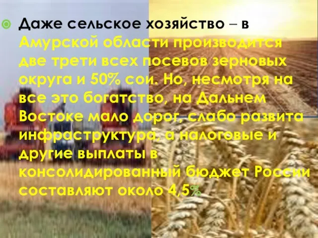 Даже сельское хозяйство – в Амурской области производится две трети всех посевов