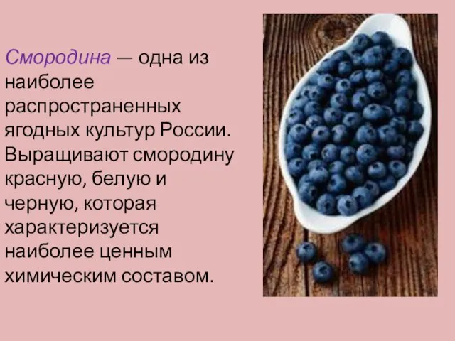 Смородина — одна из наиболее распространенных ягодных культур России. Выращивают смородину красную,