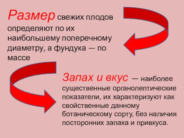 Размер свежих плодов определяют по их наибольшему поперечному диаметру, а фундука —