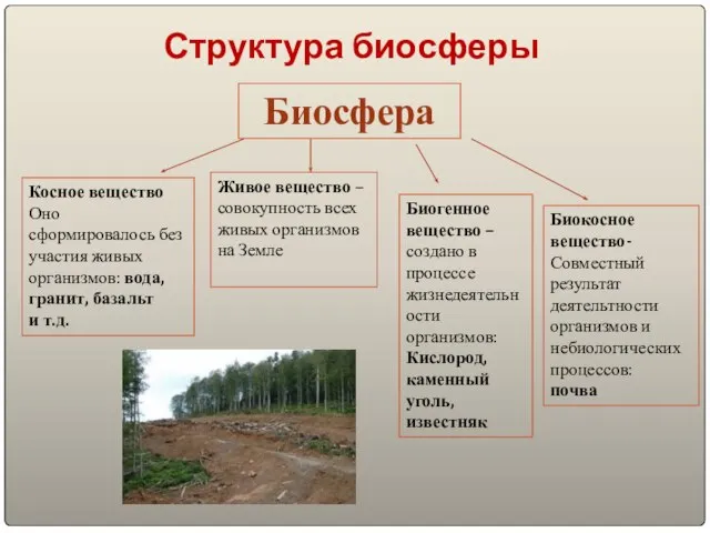 Структура биосферы Биосфера Косное вещество Оно сформировалось без участия живых организмов: вода,