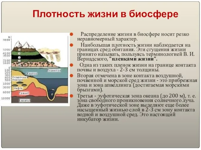 Плотность жизни в биосфере Распределение жизни в биосфере носит резко неравномерный характер.