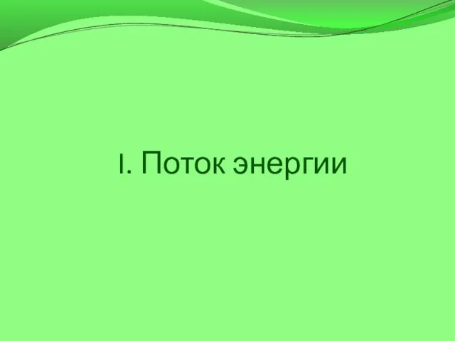 I. Поток энергии