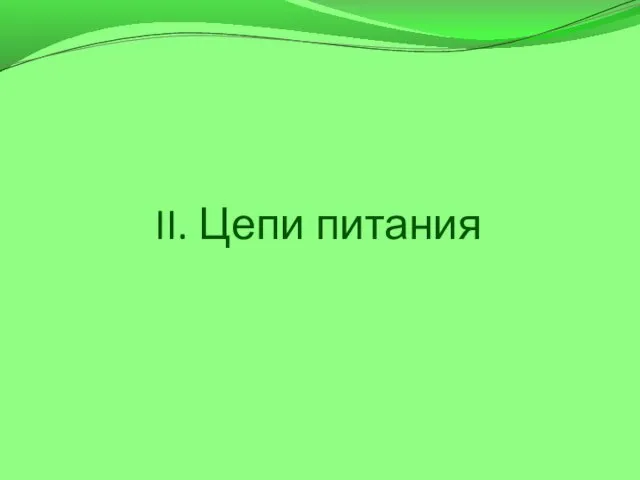 II. Цепи питания