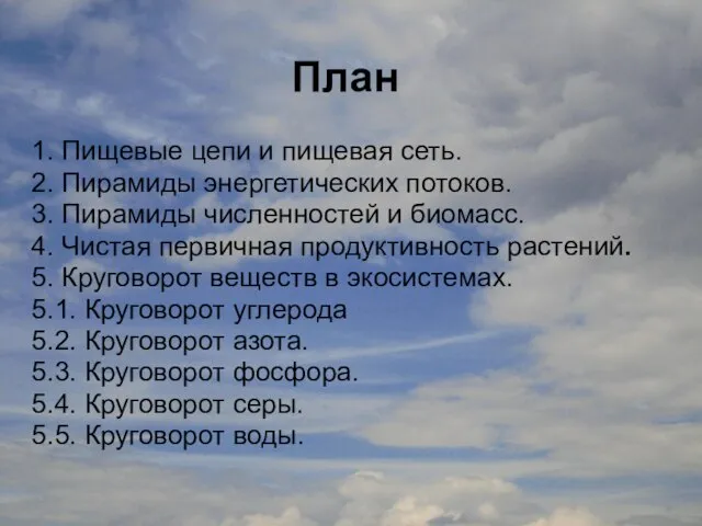 План 1. Пищевые цепи и пищевая сеть. 2. Пирамиды энергетических потоков. 3.