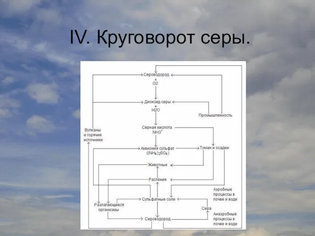 IV. Круговорот серы.