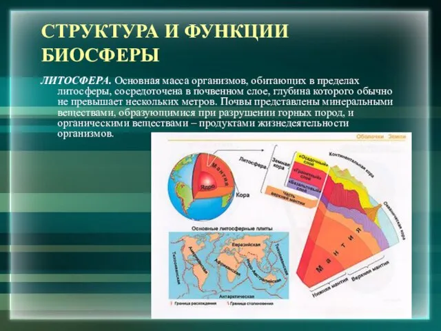 СТРУКТУРА И ФУНКЦИИ БИОСФЕРЫ ЛИТОСФЕРА. Основная масса организмов, обитающих в пределах литосферы,