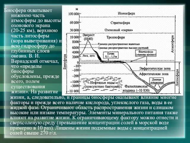 Биосфера охватывает нижнюю часть атмосферы до высоты озонового экрана (20-25 км), верхнюю