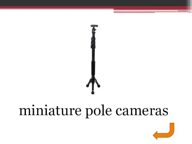 miniature pole cameras