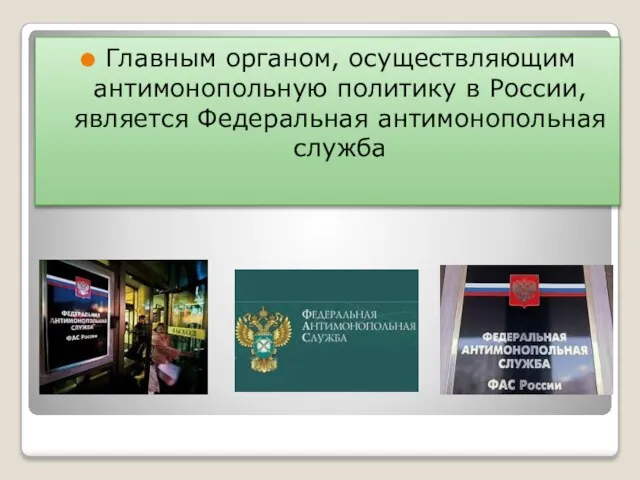 Главным органом, осуществляющим антимонопольную политику в России, является Федеральная антимонопольная служба