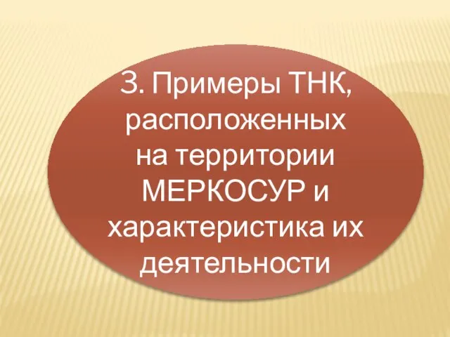 3. Примеры ТНК, расположенных на территории МЕРКОСУР и характеристика их деятельности