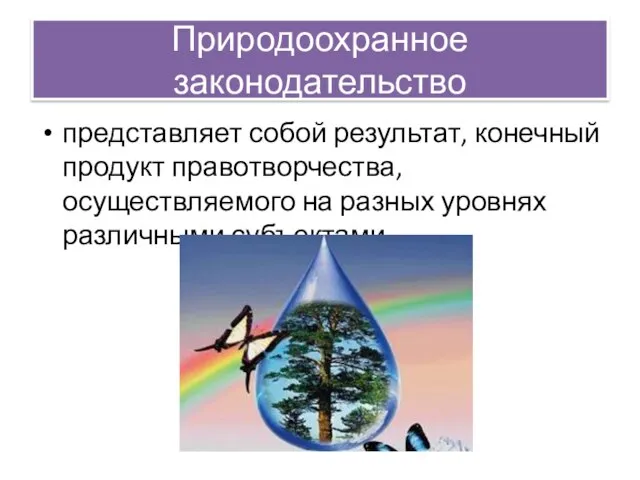 Природоохранное законодательство представляет собой результат, конечный продукт правотворчества, осуществляемого на разных уровнях различными субъектами