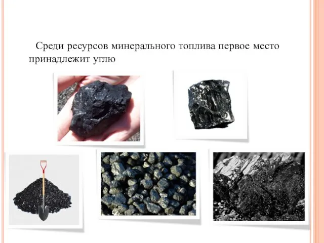 Среди ресурсов минерального топлива первое место принадлежит углю