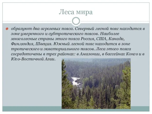 Леса мира образуют два огромных пояса. Северный лесной пояс находится в зоне