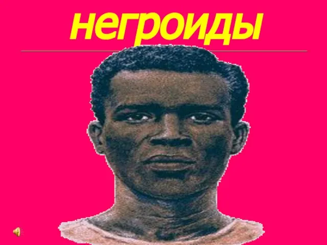 негроиды