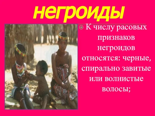 негроиды К числу расовых признаков негроидов относятся: черные, спирально завитые или волнистые волосы;