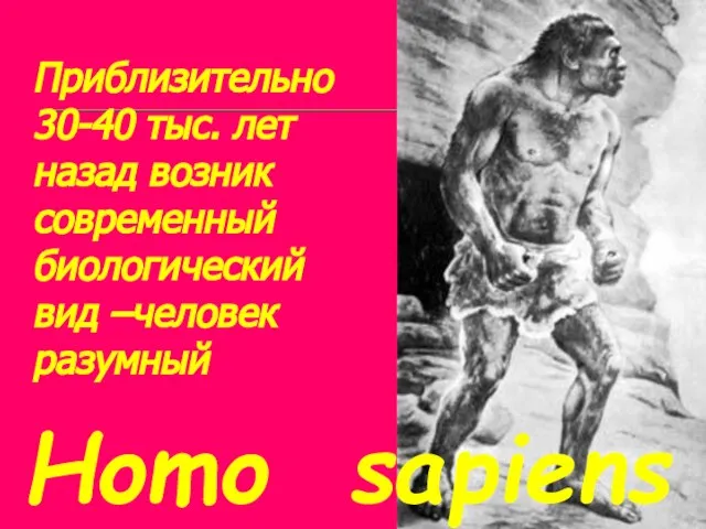 Приблизительно 30-40 тыс. лет назад возник современный биологический вид –человек разумный Homo sapiens