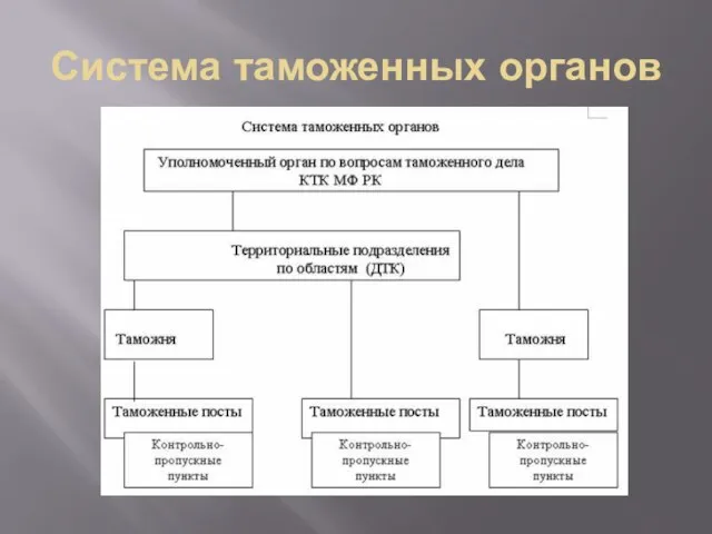 Система таможенных органов