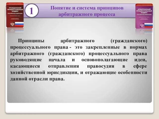 1 Принципы арбитражного (гражданского) процессуального права - это закрепленные в нормах арбитражного