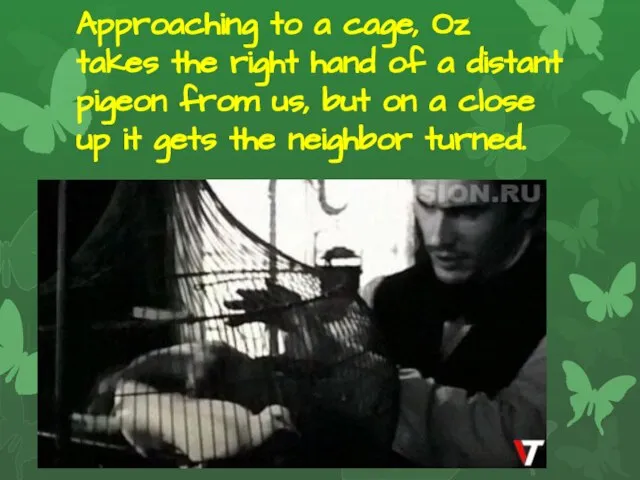 Approaching to a cage, Oz takes the right hand of a distant