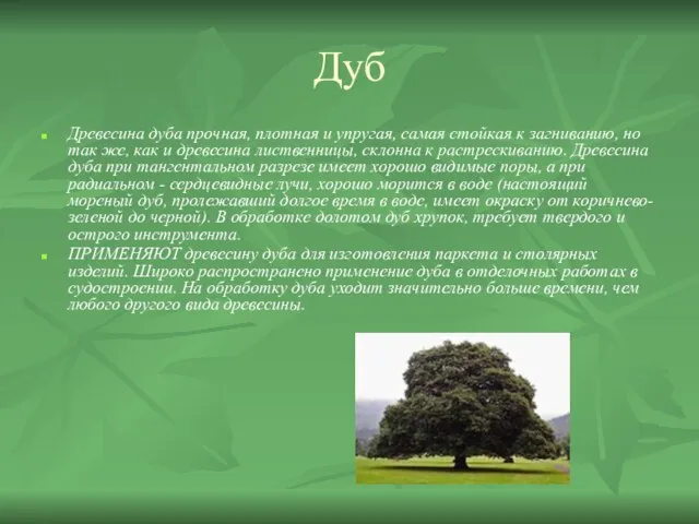 Дуб Древесина дуба прочная, плотная и упругая, самая стойкая к загниванию, но